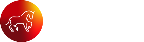 Join Up Horse
